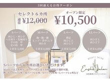 エンシサロン/3回通えるセレクト6ヵ所
