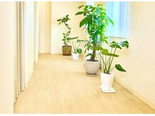 サロン リフレッシュ(salon Re:Fresh)/癒される植物達がお出迎え