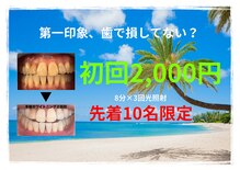コトリト(Cotorito)