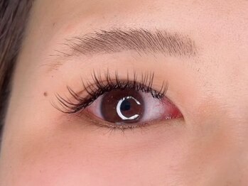 ラモ(Ramo)/フラットラッシュ 120本