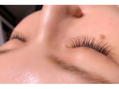 アトリコ(attrico)の写真