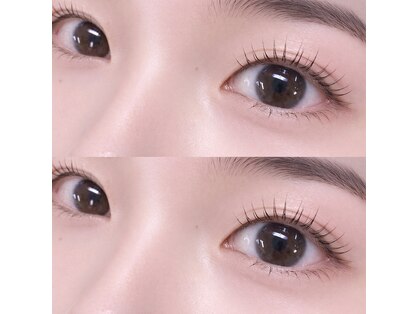 ナビ(nabi)の写真