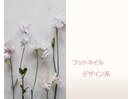 PG014312120