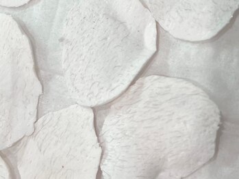 リジョーナ 岐南店(Lijona)/