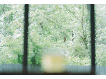 トリコテ ル ブラン(tricoter le blanc)の写真