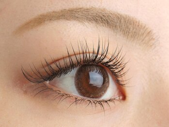 シーク デア(Seek-Dea)/人気のフラットマットラッシュ☆