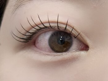 春日井まつげ/シングルラッシュ