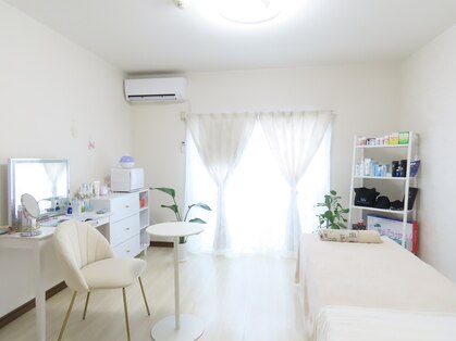 ミント(mint)の写真