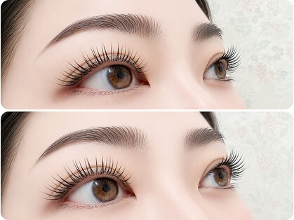 クレビア(CREBIA)の写真