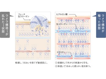 ラバンデュラ(Lavandula)/世界特許取得のナノカプセル