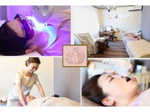 コトリト(Cotorito)