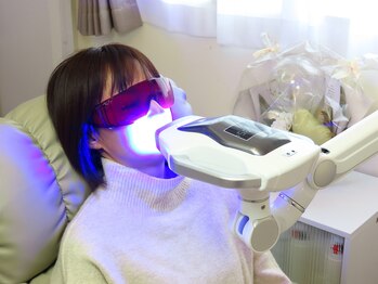 ハチ(HACHI)/【選べます♪】