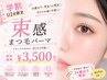 【学割U24限定】束感まつ毛パーマ ¥3,500