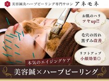 アネモネ 心斎橋院