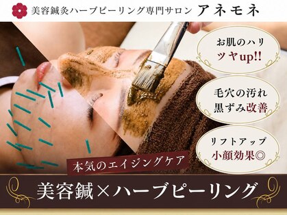 アネモネ 心斎橋院の写真