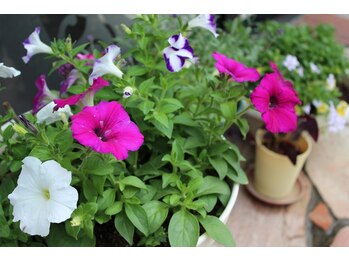 マリーローラン 上越店/鮮やかなお花