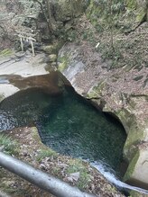 チェッコリ(CHECCOLY)/龍鎮神社へ♪