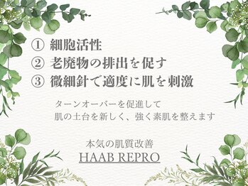 エヌ(Na.)/HAAB REPRO (ハーブリプロ)