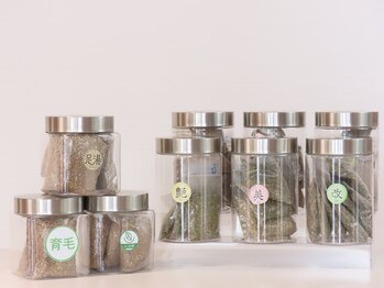 香椎店/豊富な草の種類