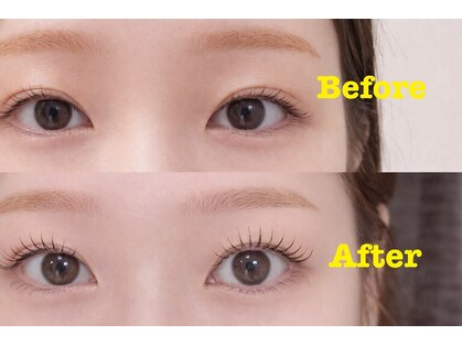 ミミ(Mimi)の写真