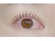 イチハチドット(18.)の写真/ナチュラルから華やかまで♪理想の目元を叶えます。