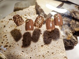 7月jr monthlyDesign plus