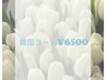 【19日限定】韓国ネイル ¥6900→¥6500