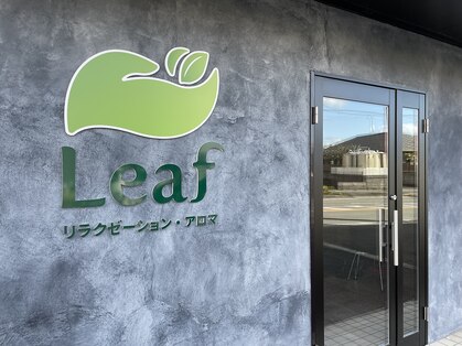 リーフ(Leaf)の写真