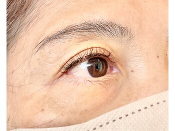 シアミス(SIAMIHS)/0.1mm &nbsp;W付け２００本