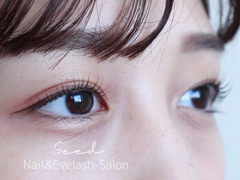 シード(Seed)/パリジェンヌラッシュリフト