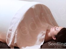 シードリン(Seedling)/スマーティ