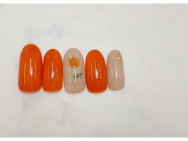 定額デザイン/トレンドコース