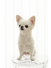 ノア(Noa)&nbsp;もも 