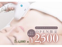 エンシサロン/オープン価格都度払い脇脱毛