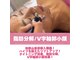 エレグラム(Elegram)の写真