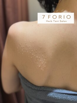 セブンフォリオ(7FORIO)/2025年も綺麗な汗を