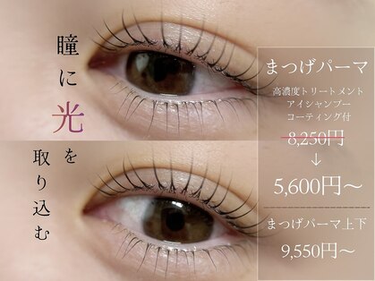 メロー(mellow)の写真