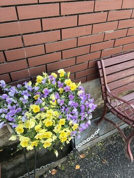 ヨサパーク エリー 富雄(YOSA PARK ellie)/朝に可愛いお花見つけました♪