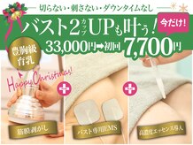 美人バスト 宇都宮店