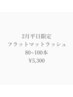 [2月平日限定]フラットラッシュ80～100本¥5300