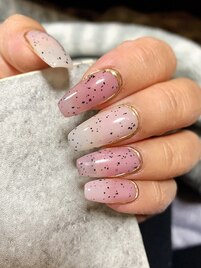 【Kato】ダルメシアン