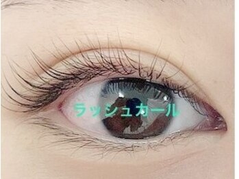 ベリーラッシュ 立川店(VeryLash)/従来のまつげパーマ