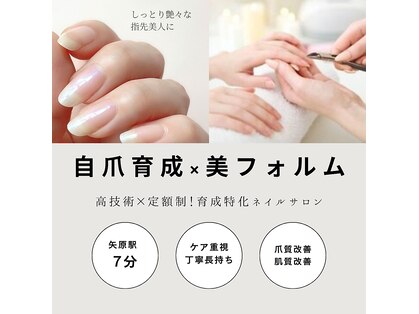 マカナ(Makana)の写真