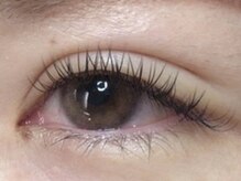 ウルカ アイラッシュ(uruka EYELASH)/フラットラッシュ 120本