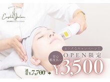 エンシサロン/オープン価格都度払い全顔脱毛
