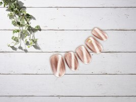 フレンチ　チェック　【11525】