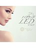LEDマツエク☆フラットラッシュ 120本　￥9400
