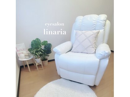 リナリア(linaria)の写真