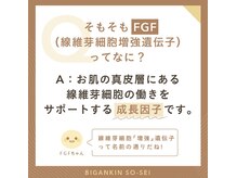 ジェルブラローズ(gerbera rose)/【テラボーラーとは】FGF