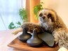 人気No.１［ナマケモノの完全お任せコース］120分　